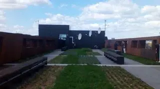 Na tarasie posadzono też rośliny 