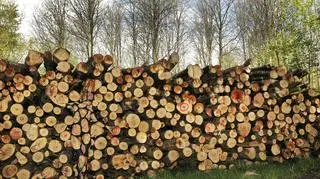 Na wielu pracach Jorga Dusterwalda trudno dostrzec modelkę