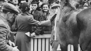 Na wyścigach w Brisbane,_1954