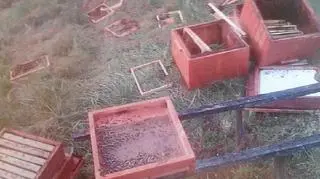 Nadleśnictwo ostrzega przed niedźwiedziem