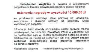 Nadleśnictwo wyznaczyło nagrodę za wskazanie sprawcy podpaleń