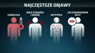 Najczęstsze objawy wirusa zika
