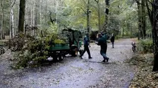 Najwięcej pracy było przy usuwaniu drzew