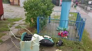 Nastolatek zepchnął figurę z cokołu