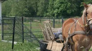 Nawet nie obudzili się po zderzeniu z płotem