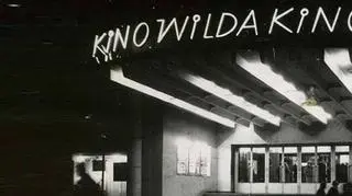 Neon kina Wilda