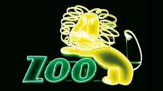 Neon nad wrocławskim zoo