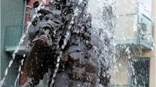 Neptun symbolem Kamienic