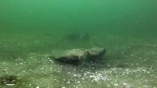 Nie wiadomo, ile dokładnie łódź spoczywała na dnie jeziora