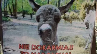 Nie wolno dokarmiać zwierząt