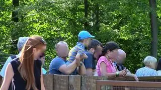 Niebezpieczne jest też podnoszenie dzieci, które się wychylają nad wybiegami