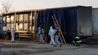 Niebezpieczne odpady składowane nieleganie w Żorach
