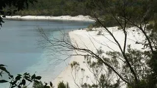 Niebiańska piaszczysta plaża Jeziora MacKenzie