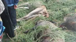 Niektórzy rodzice nie pozwalali dzieciom oglądać trofeów