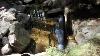 Niemal puste ujęcie wody w Karpaczu