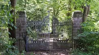 Niemiecki artysta zachwyca internautów