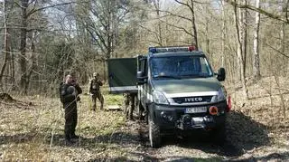 Niemieckie bomby znaleziono w bolesławieckim lesie