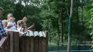 Nieodpowiedzialni rodzice w poznańskim zoo