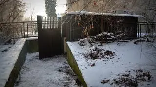 Niepozorne wejście