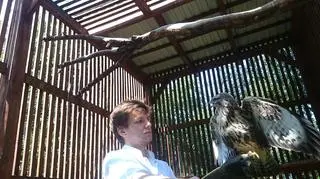 Niewykluczone, że rolnik, który ptaki przygarnął usłyszy zarzuty