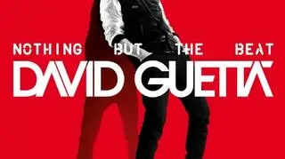 "Nothing but the Beat" Davida Guetty to najczęściej odtwarzana płyta na Spotify w 2012 roku