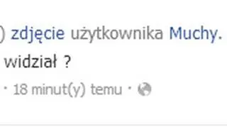 O kradzieży poinformowało miasto Kostrzyn