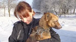 Oba psy są już bezpieczne 