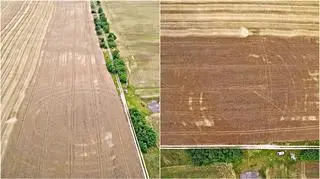 Obiekty pochodzą sprzed 7000 lat