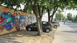 Obrazek znajduje się na prywatnym garażu