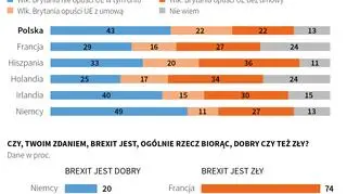 Ocena brexitu w Europie