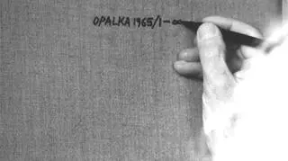 Od 1965 r. rozpoczął projekt swojego życia, który przyniósł mu sławę i w końcu uznanie - "Opałka 1965. Od jednego do nieskończoności" (opalka1965.com).