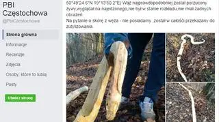 Od tego postu zaczęło się dochodzenie w sprawie pytona