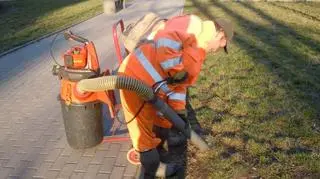 Odkurzacz do psich kup