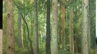 Odnaleziony obraz Iwana Szyszkina 