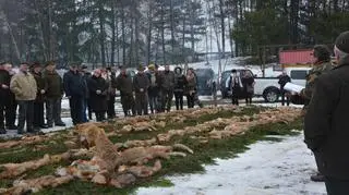 Odstrzelili ponad 200 lisów, bo "taka tradycja"