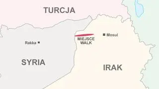 Ofensywa ma miejsce w pobliżu granicy Syrii i Iraku