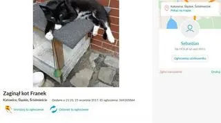 Ogłoszenie o zaginięciu Franka