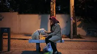 Okazywanie uczuć zwierzętom jest zakazane, zwłaszcza psom, które uznawane są za "nieczyste"