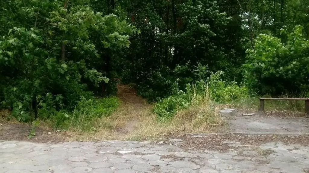 Okolice miejsca zdarzenia