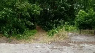 Okolice miejsca zdarzenia