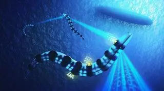 Okręty podwodne przyszłości Royal Navy