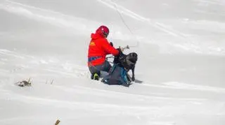 Oprócz ratowników TOPR i ich psów w szkoleniu wzięły udział zespoły ze Słowacji oraz Norwegii