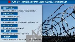 Optymistyczny plan wiceministra zakłada, że do końca stycznia mogłaby zapaść decyzja sądu ws. izolacji