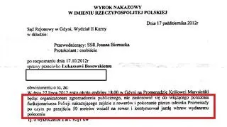 Organizator Masy Krytycznej skazany