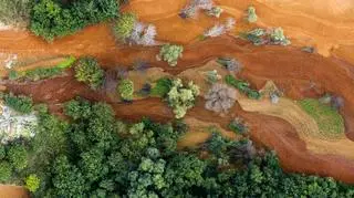 otoreportażu "Toxic Beauty" otrzymał „Grand Prix”