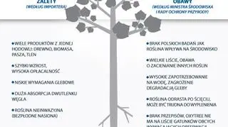 Oxytree - zalety i obawy