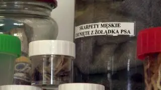 Para męskich skarpet wyciągniętych z psiego żołądka