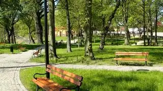 Park w Skarszewach