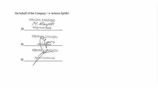 Pełnomocnictwo Srebrnej dla Birgfellnera. Fragment 3