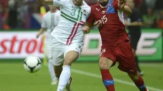Pepe, Milan Baros